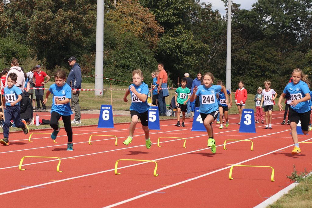 Starke Leistungen nach den Sommerferien: Sportfest der LG Peiner Land ist voller Erfolg